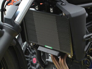 oCNp[cETCHING FACTORY(Gb`Ot@Ng[) WG^[RAK[h SB GuRGK-NINJA250-03-SB4550255947569