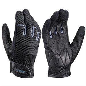 y5OŔz EFA fCgi DAYTONA DG001tbVFIT GY XL 32235 4909449598719 i