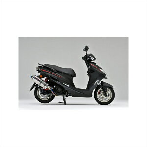 oCNp[c }t[I[@[[VO TT-Formula t`^16-512-05 4539770113826Cygnus-X SR 17