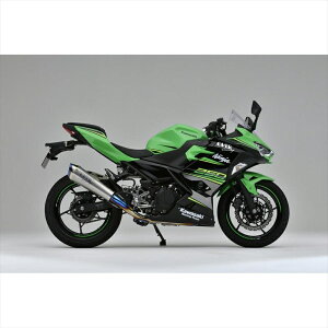 oCNp[c }t[I[@[[VO TT-Formula RS+PRO `^ 2-125-693-12 4539770117565Ninja250 18