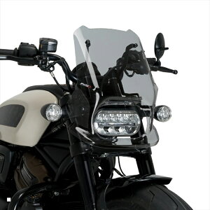 oCNp[c Ov[` j[WFl[VNKXN[ SPORT X[N21321H 4571415048551HARLEY-D SPORTSTER S RH1250S 21-23