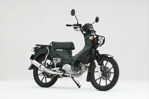 y5OŔzoCNp[c }t[I[@[[VO [VO_E16-125-17 4539770126901CC110(22-)