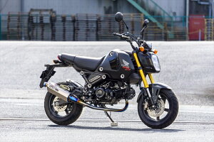 oCNp[c }t[I[@[[VO TT-Formula16-224-01 4539770126956GROM(23/24-)