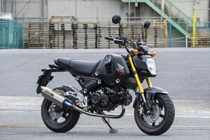 oCNp[c }t[I[@[[VO TT-Formula RS16-224-05 4539770126963GROM(23/24-)