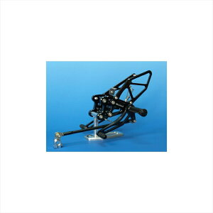 oCNp[cWOODSTOCK(EbhXgbN) XebvLbg 4POS/Vo[ WBS-K15-SL4550646091079ZZR1400 -11/ZX-14R 12-