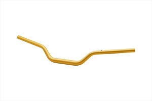 y5OŔzoCNp[cEFFEX(GtFbNX) C[W[tBbgo[ S[hEBTF550G4550255912741