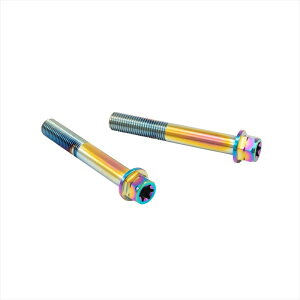 y5OŔzoCNp[c vgu{ XeXLp[}Eg{g `^FCMBF-070T 455025569016870mm tWZp M10/P1.25 wNTr2{