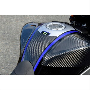 oCNp[c O}WJ[VO ^NGhpbh/FRPE001-MT0922-9501 4550255863456MT-09/SP 21