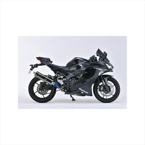oCNp[cNOJIMA ENGINEERING(mW}GWjAO) DLC`^ tGL][Xg NT647GTD-CLK4550255599607Ninja ZX-25R 20-21