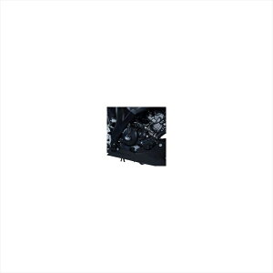 �o�C�N�p�[�c �A�[���A���h�W�[ �G���W���P�[�X�J�o�[ �E��RG-ECC0250BK 4573382082941GSX-R125 17-/GSX-S125 17-