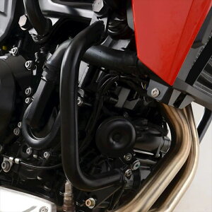 oCNp[c OA[AhW[ Ahx`[o[ BLK LOWERRG-AB0065BK 4580041239288BMW F900R 20-