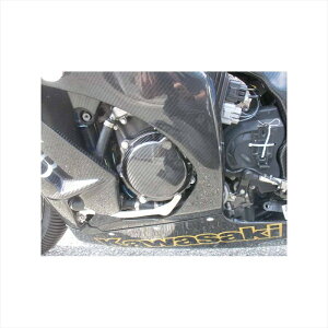 oCNp[c G[ebN WFl[^[Jo[STD DC 9KA01215-RC 4524446065257ZX-10R 11- RCp