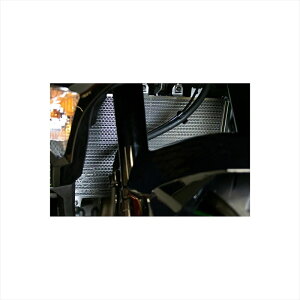 oCNp[c pngbNX^[ WG^[RAK[h Vo[AVHG-034-SV 4573269990826Ninja ZX-25R