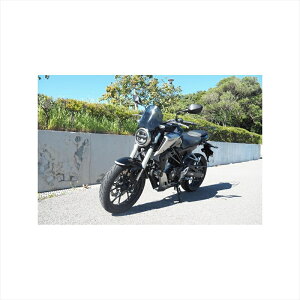 oCNp[c O[hEH[N [^[oCU[ ~h NA ws-31cm 4580007462392CB250R 18