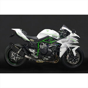 バイクパーツ マフラートリックスター 政府認証S/O イカヅチブラックEDJST-H01B-L5BT 4573269964445Ninja H2 CARBON