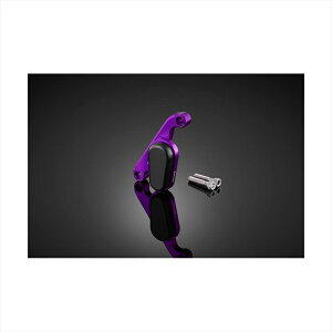 oCNp[c OoCJ[Y tgLp[K[h p[vH0719-PUR 4550255571368ADV160 23-24 ADV150 20-22