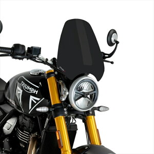 �o�C�N�p�[�c �O���v�[�` �j���[�W�F�l���[�V����NK�X�N���[��SPORT �}�b�g�u���b�N TRIUMPH SCRAMBLER 400X 24-/SPEED400 24-21933J 4571414855075