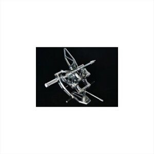 oCNp[cWOODSTOCK(EbhXgbN) obNXebvLbg I[SLV WBS-Y15-SL4550255600556YZF-R6 17-