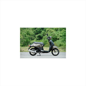 oCNp[c }t[GkA[}WbN V-Classic }t[ MV0030-H10023 4548664539246Today/Dio(AF62)