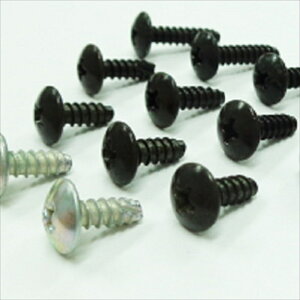 oCNp[c nhGkeB[r[ NTB ^R[^[P[uTYJ-06-002 4547839210355