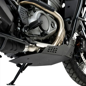 oCNp[c Ov[` A_[K[h ubN OIL-CARTER GUARD PAN AMERICA RA1250 21-24/SPECIAL RA1250S 21-2422181N 4571414861328