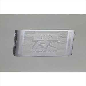 �o�C�N�p�[�c ��p�nTECHNICAL SPORTS RACING�iTSR�j(�e�N�j�J���X�|�[�c���[�V���O) ���W�G�[�^�[�R�A�K�[�h Type-A �V���o�[19110-N42-A1SV04570197274608