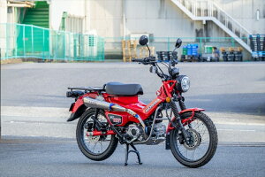 �o�C�N�p�[�cOVER RACING(�I�[�o�[���[�V���O) TT-Formula RS+PRO Mini�A�b�v �t���`�^�� 16-061-164539770133282