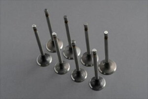 oCNp[c MRS(GA[GX) ouZbg MRS-H75-E0054548916009985