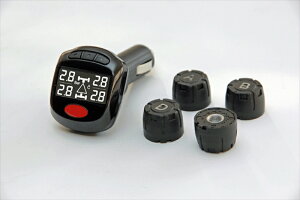 �o�C�N�p�[�c �����e�i���XPRO TECTA(�v���e�N�^) �G�A���jP-4571462810774