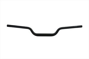 y5OŔzoCNp[cEFFEX(GtFbNX) C[W[tBbgo[Plus ubNPBTF356K4548916437405