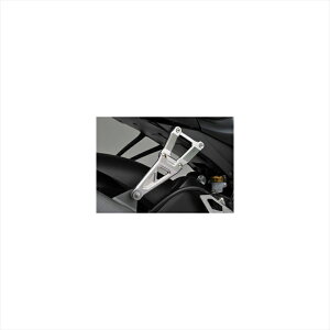 oCNp[c }t[AOX }t[Xe[ 402-483-000 4548664269457ZX-10R 10