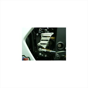 �o�C�N�p�[�cBEET(�r�[�g) �`�F�[���J�o�[�L�b�g SLV 0661-K95-094582346460800Ninja250R 08-10
