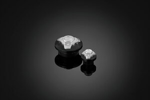 �o�C�N�p�[�cBIKERS(�o�C�J�[�Y) �G���W���v���O 2�� �V���o�[K0230-SLV4548916442959