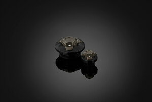 �o�C�N�p�[�cBIKERS(�o�C�J�[�Y) �G���W���v���O 2�� �`�^��K0230-TIN4548916442966