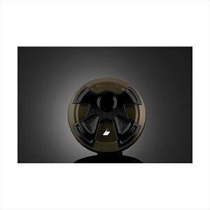 oCNp[cBIKERS(oCJ[Y) t[GLbv `^ K0063-TIN4548916443956KSR PRO 14