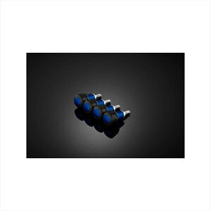 oCNp[cBIKERS(oCJ[Y) tgtF_[veN^[ 4 u[ Y0323-BLU4550255211127XMAX 18-22