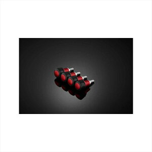 oCNp[cBIKERS(oCJ[Y) tgtF_[veN^[ 4 bh Y0323-RED4550255211301XMAX 18-22