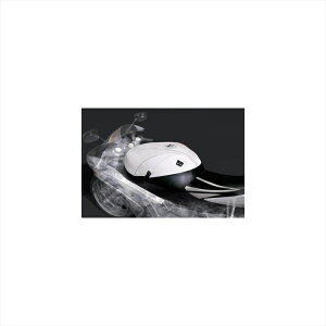 oCNp[c oOX^[ ^NJo[ Tt@[CG[1373B 4520616843502900SS 98-99