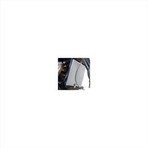 �o�C�N�p�[�c ��p�n�A�[���A���h�W�[ ���W�G�^�[�K�[�h �`�^���J���[RG-RAD0254TI 4580041237055TRIUMPH Scrambler1200XC/XE 19-