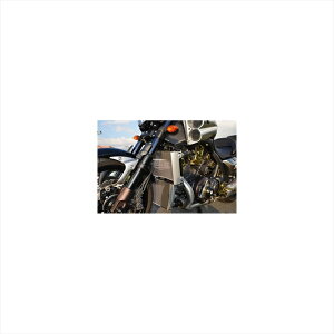 oCNp[c pnAOX RAK[h B^Cv/S 309-272-B00 4548916058815V-MAX1700