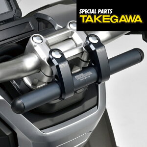 y5OŔzoCNp[c dq@SP TAKEGAWA(XyVp[c^PK) nhK[h Vo[ 08-01-01474514162280690