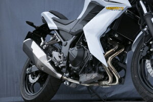 oCNpi }t[}g[VO }g.R Xe 2-1 EX ASSY Z250 13-40253-00001 4521717300970