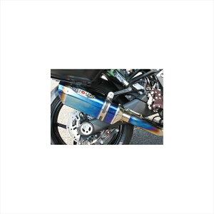 バイクパーツBEET(ビート) ナサート-Evo TYPE2 T2P クリアTI 0223-KC5-504582346461128NINJA1000/ABS 14-16パニアケース対応