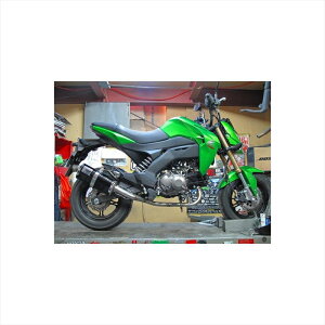 oCNp[c }t[zbgbv [VO_E}t[ RG-Z125 4548916787197Z125PRO