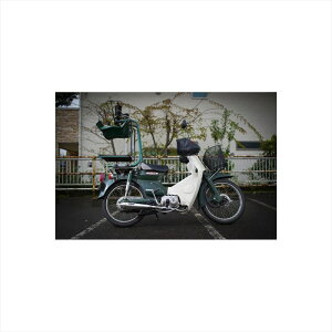 oCNp[c }t[zbgbv _E}t[ ^Cv3 CUB-3 4548916787227X[p[Ju50