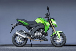 oCNpi }t[}g[VO }g.R SPEC-A UP ^CvSA Z125PRO 16-(2BJ-BR125H)40114-71SS2 4521717301229