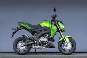 バイク用品 マフラーヤマモトレーシング ヤマモト.R SPEC-A DOWN タイプ2 Z125PRO 16-(2BJ-BR125H)40114-71DT2 4521717301243
