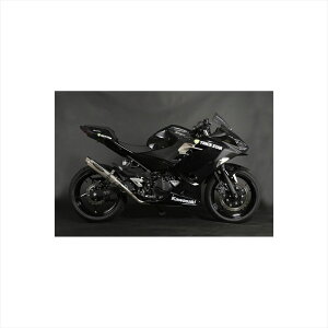 oCNp[c }t[gbNX^[ [VO VbgK `^XbV RFS-015E-STSC 4560417409811Ninja250 18-