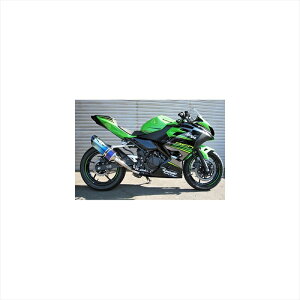 oCNp[cBEET(r[g) iT[gR-Evo TYPE2 u[TI 1003-B27-BL4582346464716NINJA250 18- JP250p[VO}t[