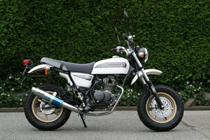 oCNp[c }t[RPM(A[s[G) 80D-RAPTOR Titan APE100 TYPE-D(EBJ-HC13)6036Z4582287251536